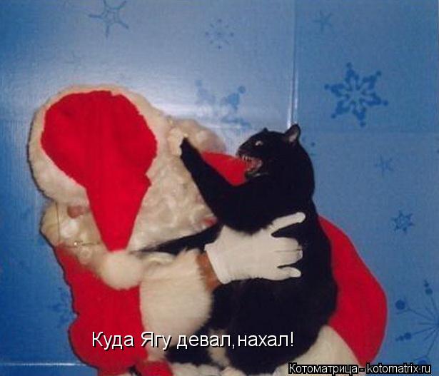 Куда Ягу девал,нахал!... Котоматрица: Куда Ягу девал,нахал!