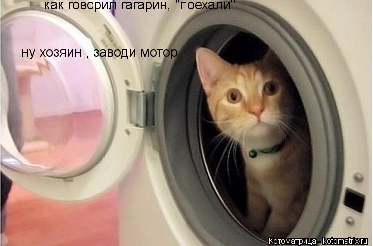 как говорил гагарин, "поехали" ну хозяин , заводи мотор... Котоматрица: как говорил гагарин, "поехали" ну хозяин , заводи мотор