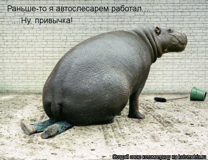 Котоматрица: Раньше-то я автослесарем работал.... ....Ну, привычка!