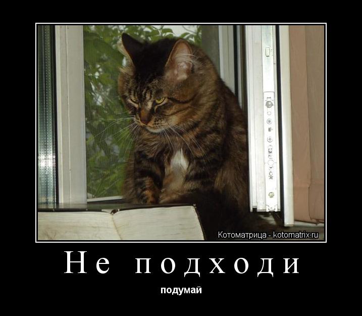Не подходи подумай... Котоматрица: Не подходи подумай