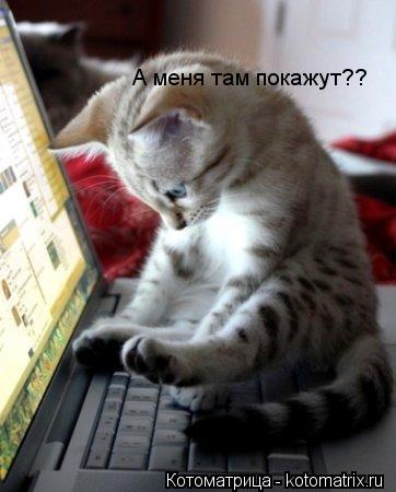 А меня там покажут??... Котоматрица: А меня там покажут??