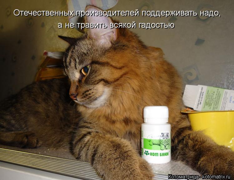 Отечественных производителей поддерживать надо, а не травить всякой гадостью... Котоматрица: Отечественных производителей поддерживать надо, а не травить всякой гадостью