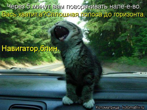 Котоматрица: Через 5 минут вам поворачивать нале-е-во. Вась хватит,а?Сплошная полоса до горизонта. Навигатор,блин.