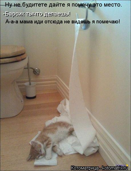 Котоматрица: Ну не будитете дайте я помечу это место. -Барсик тычто делаешь! А-а-а мама иди отсюда не видешь я помечаю!