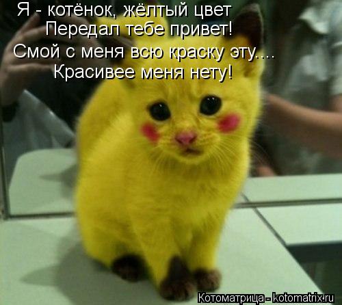 Я - котёнок, жёлтый цвет Передал тебе привет! Смой с меня всю краску эту.... Красивее меня нету!... Котоматрица: Я - котёнок, жёлтый цвет Передал тебе привет! Смой с меня всю краску эту.... Красивее меня нету!