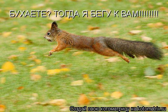 Котоматрица: БУХАЕТЕ? ТОГДА Я БЕГУ К ВАМ!!!!!!!!