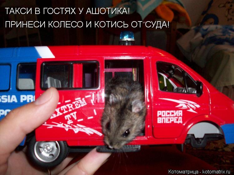 Котоматрица: ТАКСИ В ГОСТЯХ У АШОТИКА! ПРИНЕСИ КОЛЕСО И КОТИСЬ ОТ СУДА!