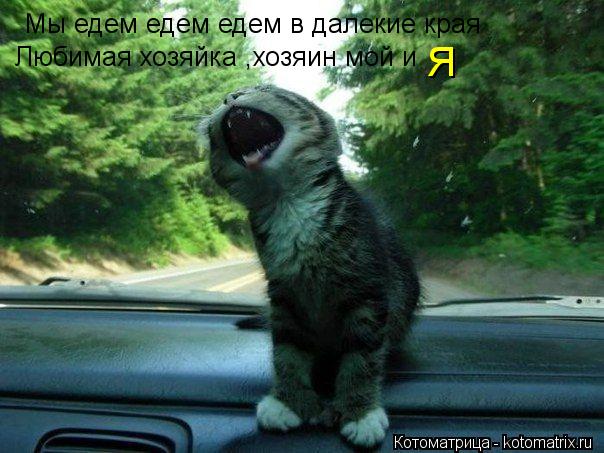 Мы едем едем едем в далекие края Любимая хозяйка ,хозяин мой и Я... Котоматрица: Мы едем едем едем в далекие края Любимая хозяйка ,хозяин мой и Я