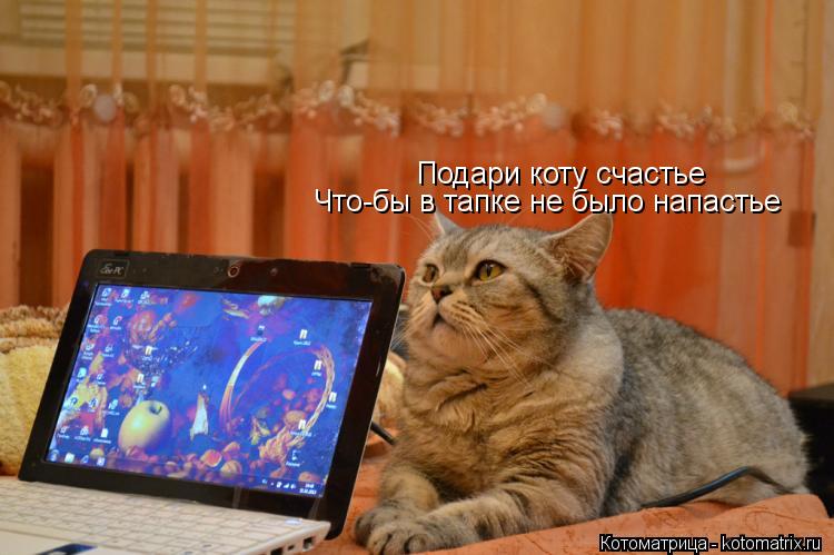 Подари коту счастье Что-бы в тапке не было напастье... Котоматрица: Подари коту счастье Что-бы в тапке не было напастье