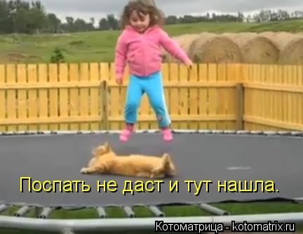Поспать не даст и тут нашла.... Котоматрица: Поспать не даст и тут нашла.