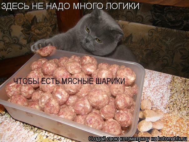ЗДЕСЬ НЕ НАДО МНОГО ЛОГИКИ ЧТОБЫ ЕСТЬ МЯСНЫЕ ШАРИКИ... Котоматрица: ЗДЕСЬ НЕ НАДО МНОГО ЛОГИКИ ЧТОБЫ ЕСТЬ МЯСНЫЕ ШАРИКИ