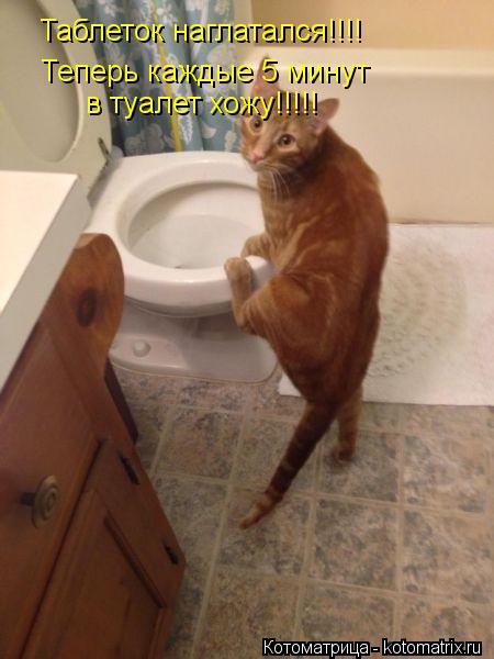 Таблеток наглатался!!!! Теперь каждые 5 минут в туалет хожу!!!!!... Котоматрица: Таблеток наглатался!!!! Теперь каждые 5 минут в туалет хожу!!!!!