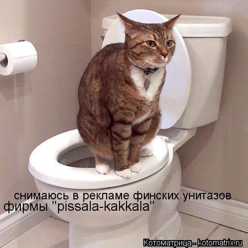 фирмы "pissala-kakkala" снимаюсь в рекламе финских унитазов... Котоматрица: фирмы "pissala-kakkala" снимаюсь в рекламе финских унитазов