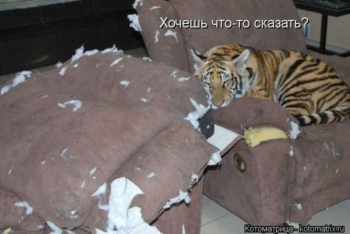 Хочешь что-то сказать?... Котоматрица: Хочешь что-то сказать?