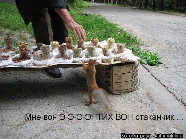 Котоматрица: Мне вон Э-Э-Э-ЭНТИХ ВОН стаканчик....
