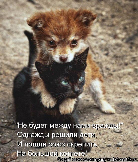 "Не будет между нами вражды!" Однажды решили дети, И пошли союз скрепить На большой котлете!... Котоматрица: "Не будет между нами вражды!" Однажды решили дети, И пошли союз скрепить На большой котлете!