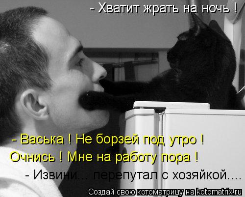 Котоматрица: - Хватит жрать на ночь ! - Васька ! Не борзей под утро ! Очнись ! Мне на работу пора ! - Извини... перепутал с хозяйкой....