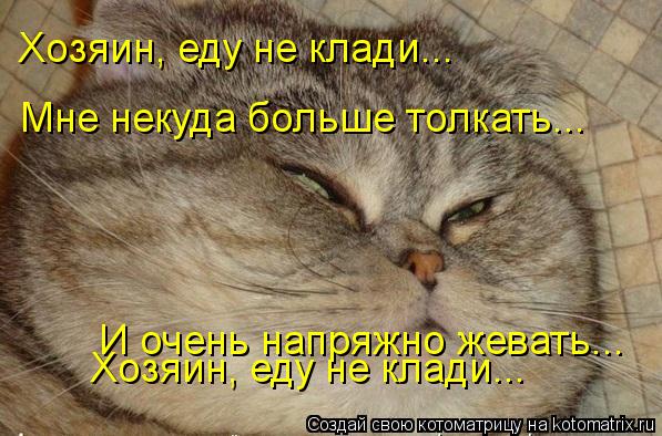 Хозяин, еду не клади... Мне некуда больше толкать... Хозяин, еду не клади... И очень напряжно жевать.... Котоматрица: Хозяин, еду не клади... Мне некуда больше толкать... Хозяин, еду не клади... И очень напряжно жевать...