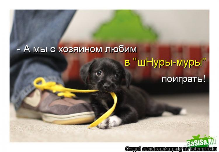 - А мы с хозяином любим поиграть! в "шНуры-муры"... Котоматрица: - А мы с хозяином любим поиграть! в "шНуры-муры"