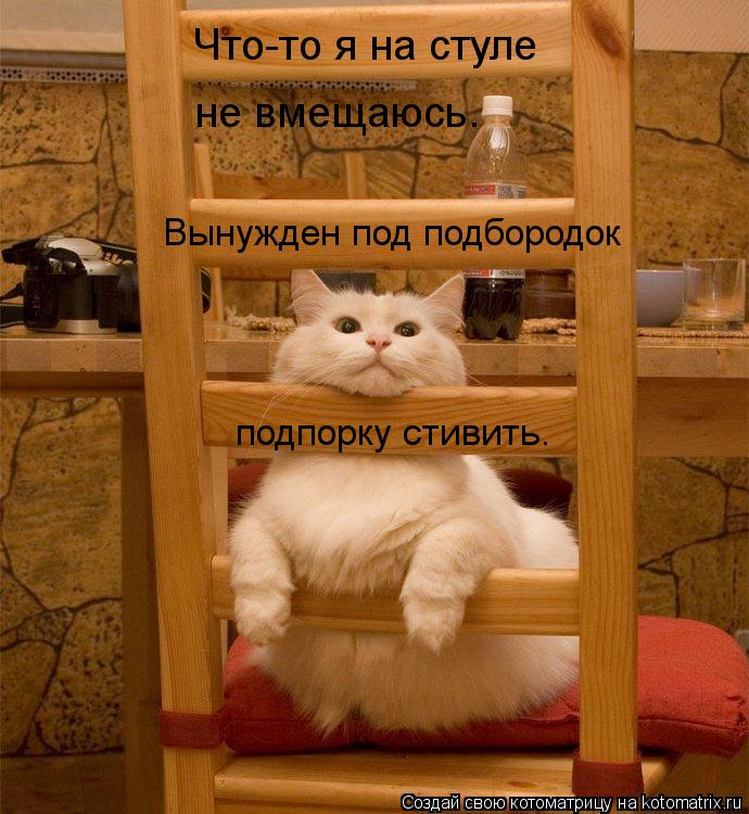 не вмещаюсь. Вынужден под подбородок подпорку стивить. Что-то я на стуле... Котоматрица: не вмещаюсь. Вынужден под подбородок подпорку стивить. Что-то я на стуле