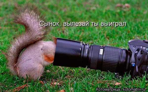 Сынок, вылезай ты выиграл... Котоматрица: Сынок, вылезай ты выиграл