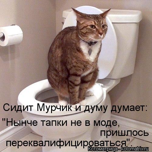 Сидит Мурчик и думу думает: "Нынче тапки не в моде, пришлось переквалифицироваться".... Котоматрица: Сидит Мурчик и думу думает: "Нынче тапки не в моде, пришлось переквалифицироваться".