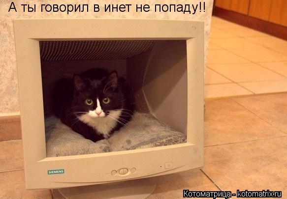 А ты говорил в инет не попаду!!... Котоматрица: А ты говорил в инет не попаду!!