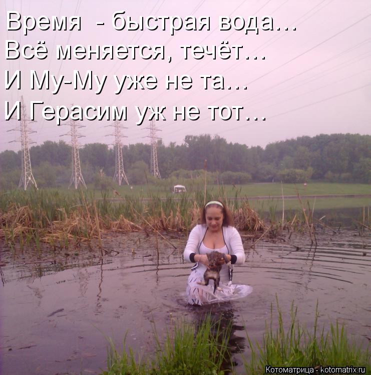 Время - быстрая вода… Всё меняется, течёт… И Му-Му уже не та… И Герасим уж не тот…... Котоматрица: Время - быстрая вода… Всё меняется, течёт… И Му-Му уже не та… И Герасим уж не тот…