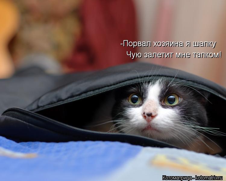 -Порвал хозяина я шапку Чую залетит мне тапком!... Котоматрица: -Порвал хозяина я шапку Чую залетит мне тапком!
