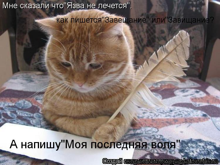 Мне сказали что"Язва не лечется". как пишется"Завещание" или"Завищание? А напишу"Моя последняя воля"... Котоматрица: Мне сказали что"Язва не лечется". как пишется"Завещание" или"Завищание? А напишу"Моя последняя воля"