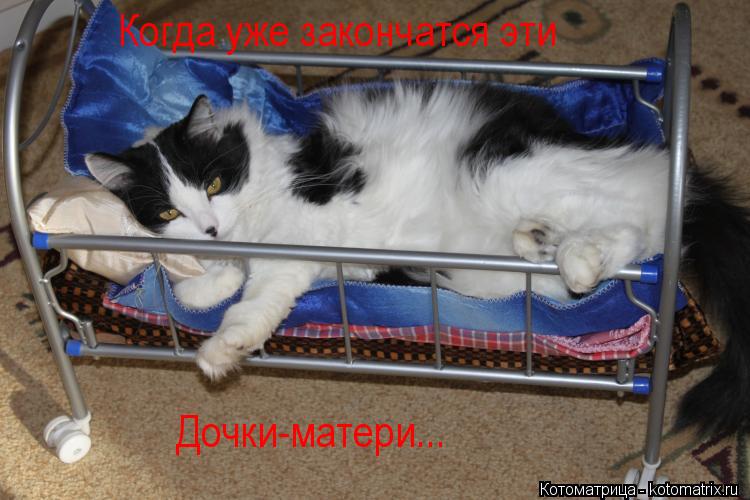 Дочки-матери... Когда уже закончатся эти... Котоматрица: Дочки-матери... Когда уже закончатся эти