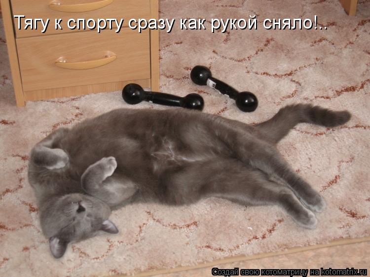 Тягу к спорту сразу как рукой сняло!..... Котоматрица: Тягу к спорту сразу как рукой сняло!..