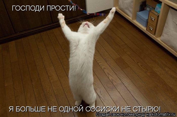 Котоматрица: ГОСПОДИ ПРОСТИ! Я БОЛЬШЕ НЕ ОДНОЙ СОСИСКИ НЕ СТЫРЮ!