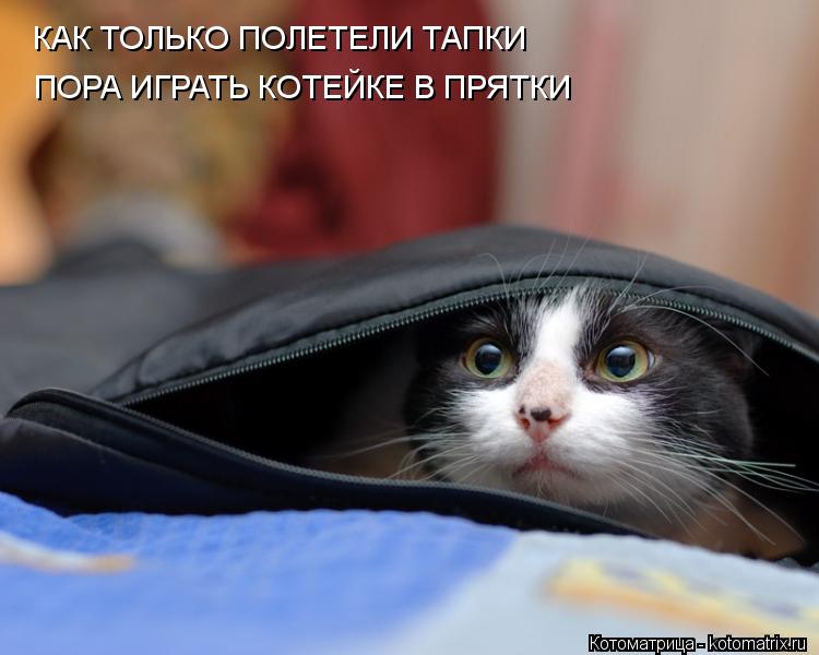 КАК ТОЛЬКО ПОЛЕТЕЛИ ТАПКИ ПОРА ИГРАТЬ КОТЕЙКЕ В ПРЯТКИ... Котоматрица: КАК ТОЛЬКО ПОЛЕТЕЛИ ТАПКИ ПОРА ИГРАТЬ КОТЕЙКЕ В ПРЯТКИ