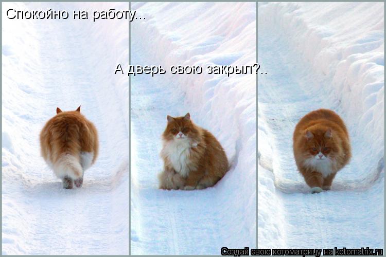 Спокойно на работу... А дверь свою закрыл?..... Котоматрица: Спокойно на работу... А дверь свою закрыл?..