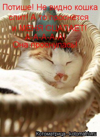 Потише! Не видно кошка спит! А то проснётся и МЕНЯ СЦАПАЕТ! А-А-А-А-А! Она проснулась!... Котоматрица: Потише! Не видно кошка спит! А то проснётся и МЕНЯ СЦАПАЕТ! А-А-А-А-А! Она проснулась!