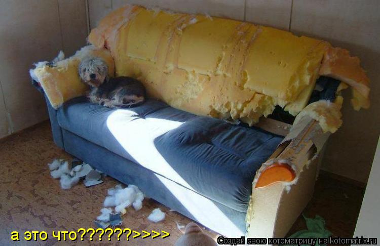 а а а это что??????>>>>... Котоматрица: а а а это что??????>>>>