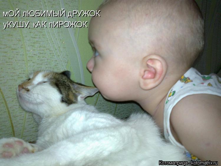мОЙ лЮБИМЫЙ дРУЖОК уКУШУ, кАК пИРОЖОК... Котоматрица: мОЙ лЮБИМЫЙ дРУЖОК уКУШУ, кАК пИРОЖОК