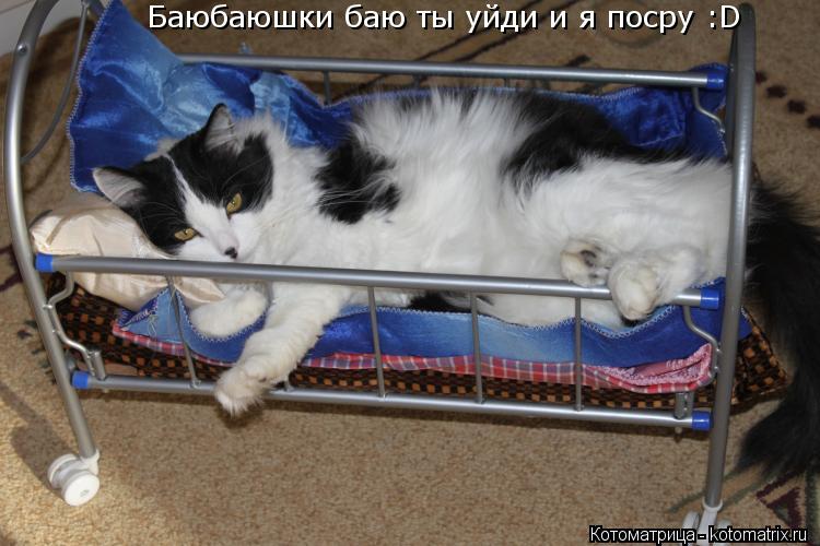 Баюбаюшки баю ты уйди и я посру :D... Котоматрица: Баюбаюшки баю ты уйди и я посру :D