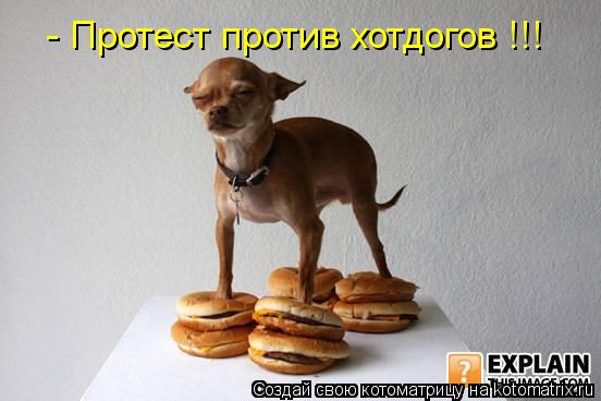 - Протест против хотдогов !!!... Котоматрица: - Протест против хотдогов !!!