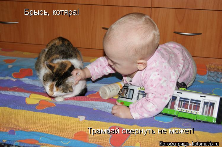 Брысь, котяра! Трамвай свернуть не может!... Котоматрица: Брысь, котяра! Трамвай свернуть не может!