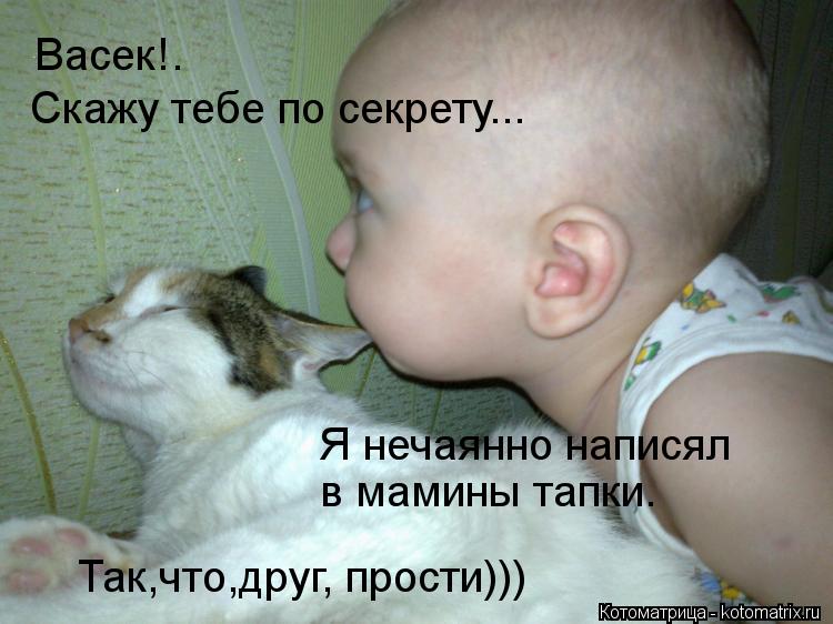 Васек!. Скажу тебе по секрету... Я нечаянно написял в мамины тапки. Так,что,друг, прости)))... Котоматрица: Васек!. Скажу тебе по секрету... Я нечаянно написял в мамины тапки. Так,что,друг, прости)))