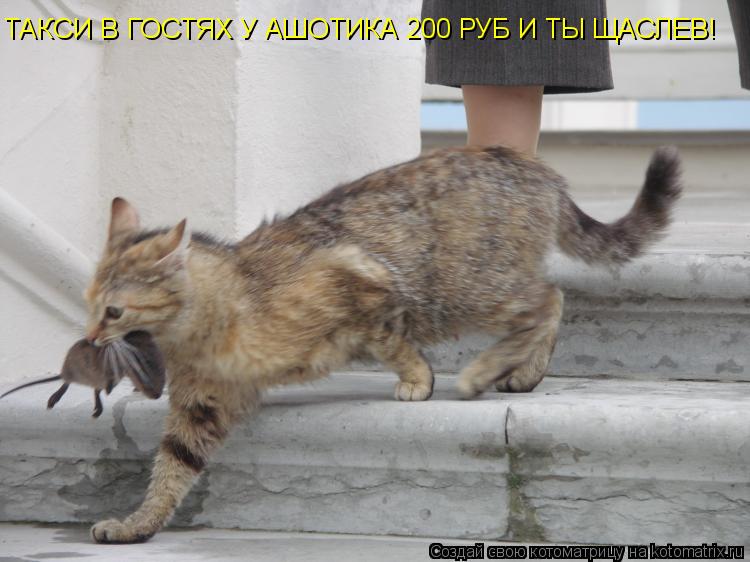 ТАКСИ В ГОСТЯХ У АШОТИКА 200 РУБ И ТЫ ЩАСЛЕВ!... Котоматрица: ТАКСИ В ГОСТЯХ У АШОТИКА 200 РУБ И ТЫ ЩАСЛЕВ!