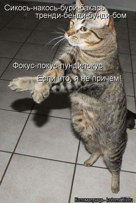 Сикось-накось-бури-бакась тренди-бенди-бунди-бом Фокус-покус-пундилокус Если что, я не причем!... Котоматрица: Сикось-накось-бури-бакась тренди-бенди-бунди-бом Фокус-покус-пундилокус Если что, я не причем!