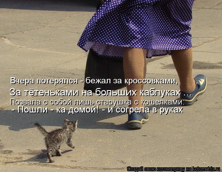 Котоматрица: Вчера потерялся - бежал за кроссовками, За тётеньками на больших каблуках ... Позвала с собой лишь старушка с кошелками: - Пошли - ка домой! - и 
