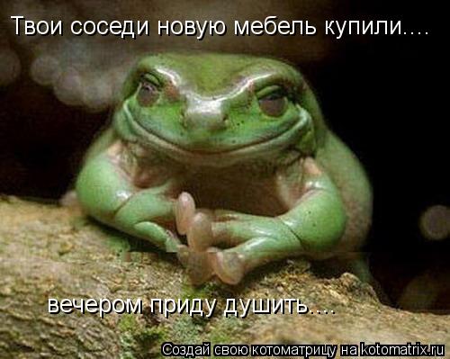 Твои соседи новую мебель купили.... вечером приду душить....... Котоматрица: Твои соседи новую мебель купили.... вечером приду душить....