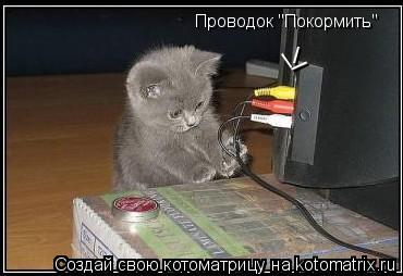 Котоматрица: Проводок "Покормить" / / /