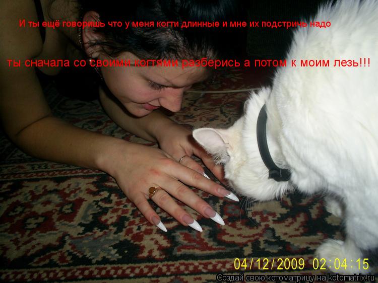 И ты ещё говоришь что у меня когти длинные и мне их подстричь надо ты сначала со своими когтями разбе... Котоматрица: И ты ещё говоришь что у меня когти длинные и мне их подстричь надо ты сначала со своими когтями разберись а потом к моим лезь!!!