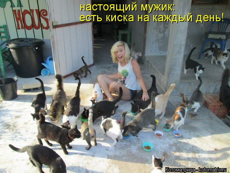 настоящий мужик: есть киска на каждый день!... Котоматрица: настоящий мужик: есть киска на каждый день!
