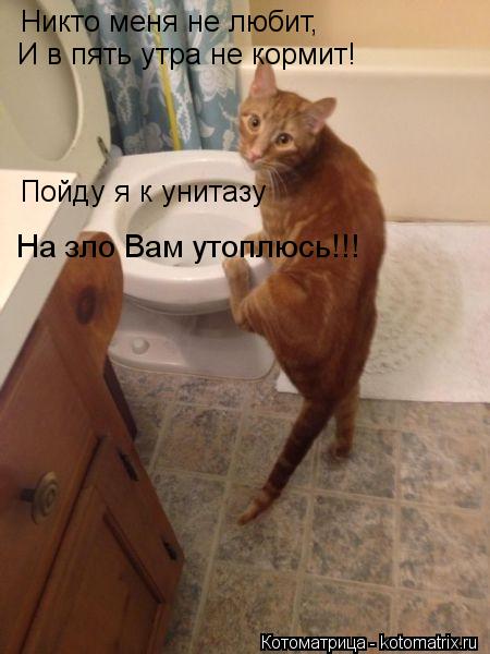 Никто меня не любит, И в пять утра не кормит! Пойду я к унитазу На зло Вам утоплюсь!!!... Котоматрица: Никто меня не любит, И в пять утра не кормит! Пойду я к унитазу На зло Вам утоплюсь!!!